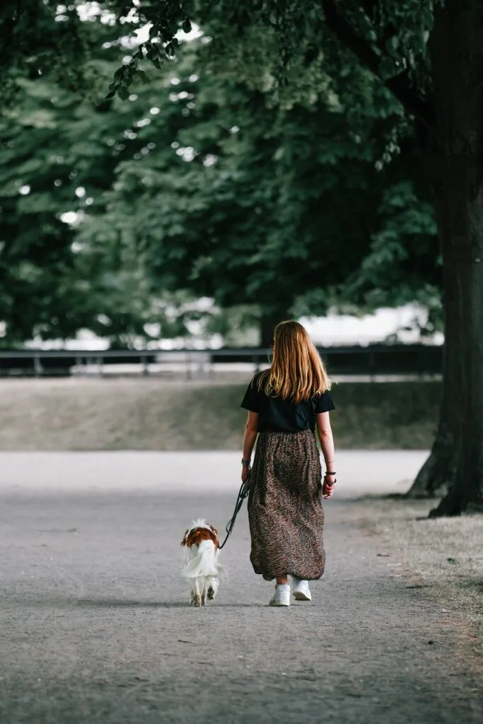 enriched-walk-montreal puppy learning leash skills in Montreal dog training class