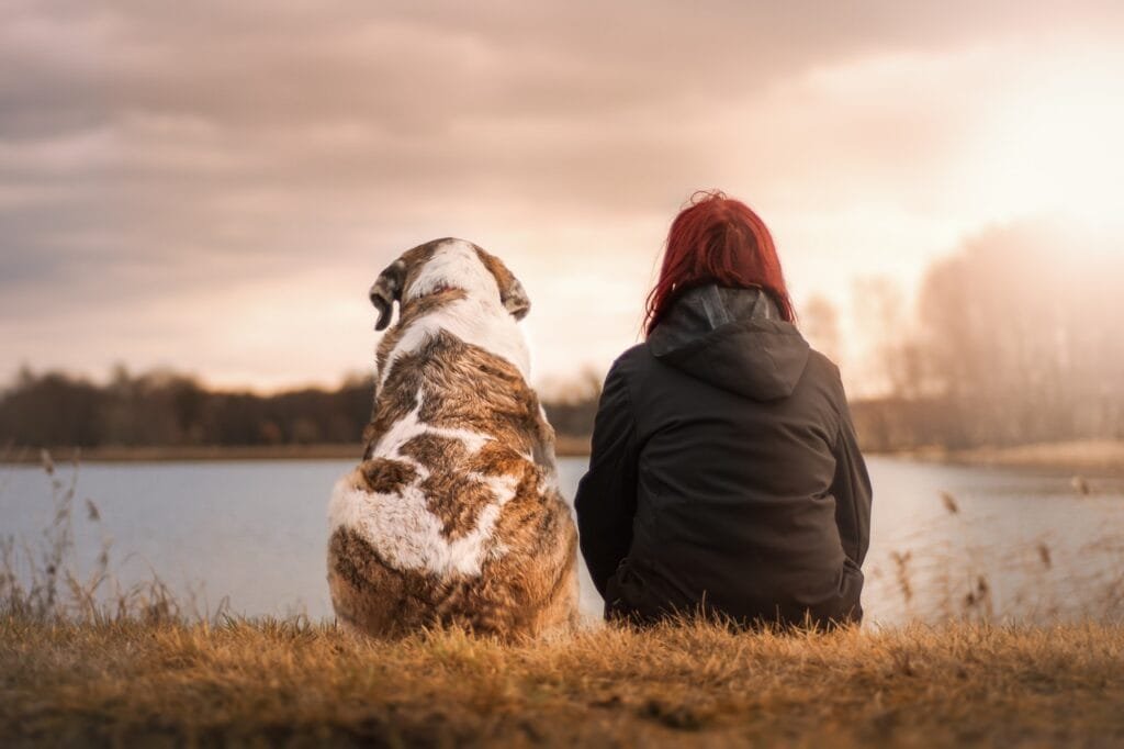 happy holidays, woman, dog, pet, friends, suit, sunset, nature, together, friendship, camaraderie, animal, best friends