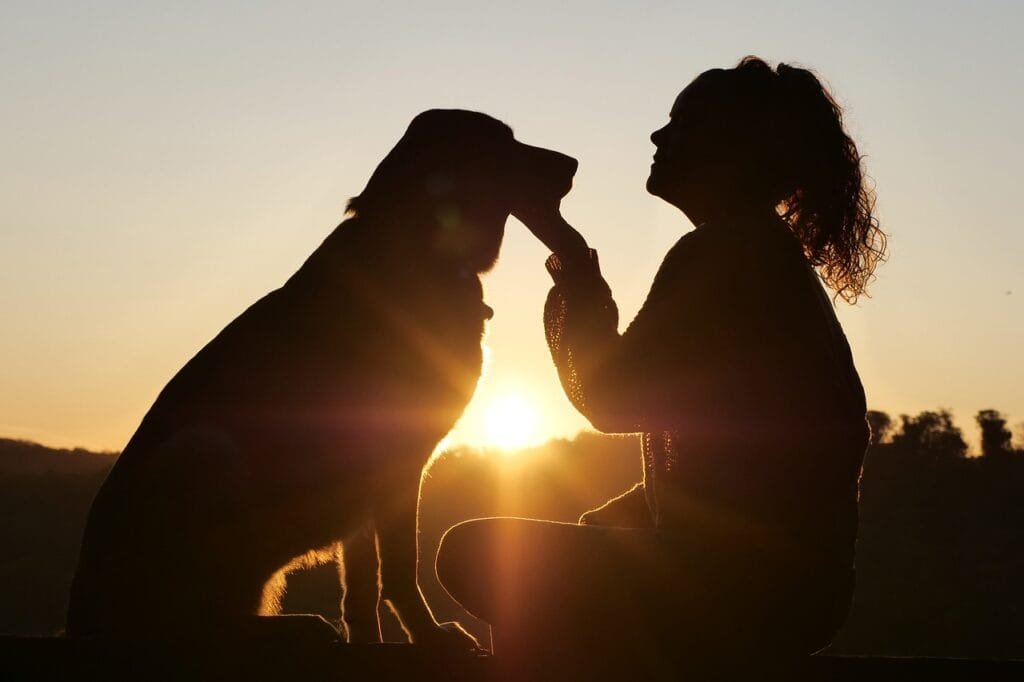 dog, animal, pet, friends, girl, nature, friendship, canine, mammal, love, care, friendship day, pet, pet, pet, pet, pet, friendship, friendship