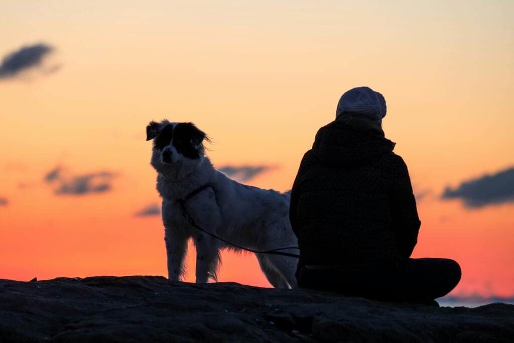 A serene silhouette of a person and dog enjoying a sunset outdoors.