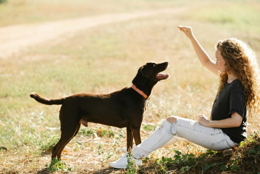 Young woman with curly hair playing with her dog outdoors in a sunny park.