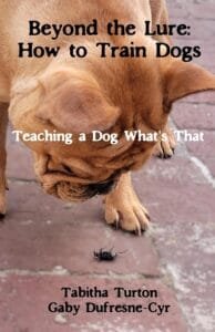Teaching a dog what's that ebooklet title page