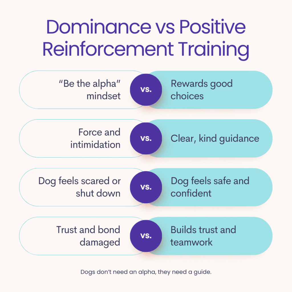 Dominance vs Positive Reinforcement Training Infographic comparing dominance in dog training with positive reinforcement methods, showing why rewards and trust work better than force and intimidation.
