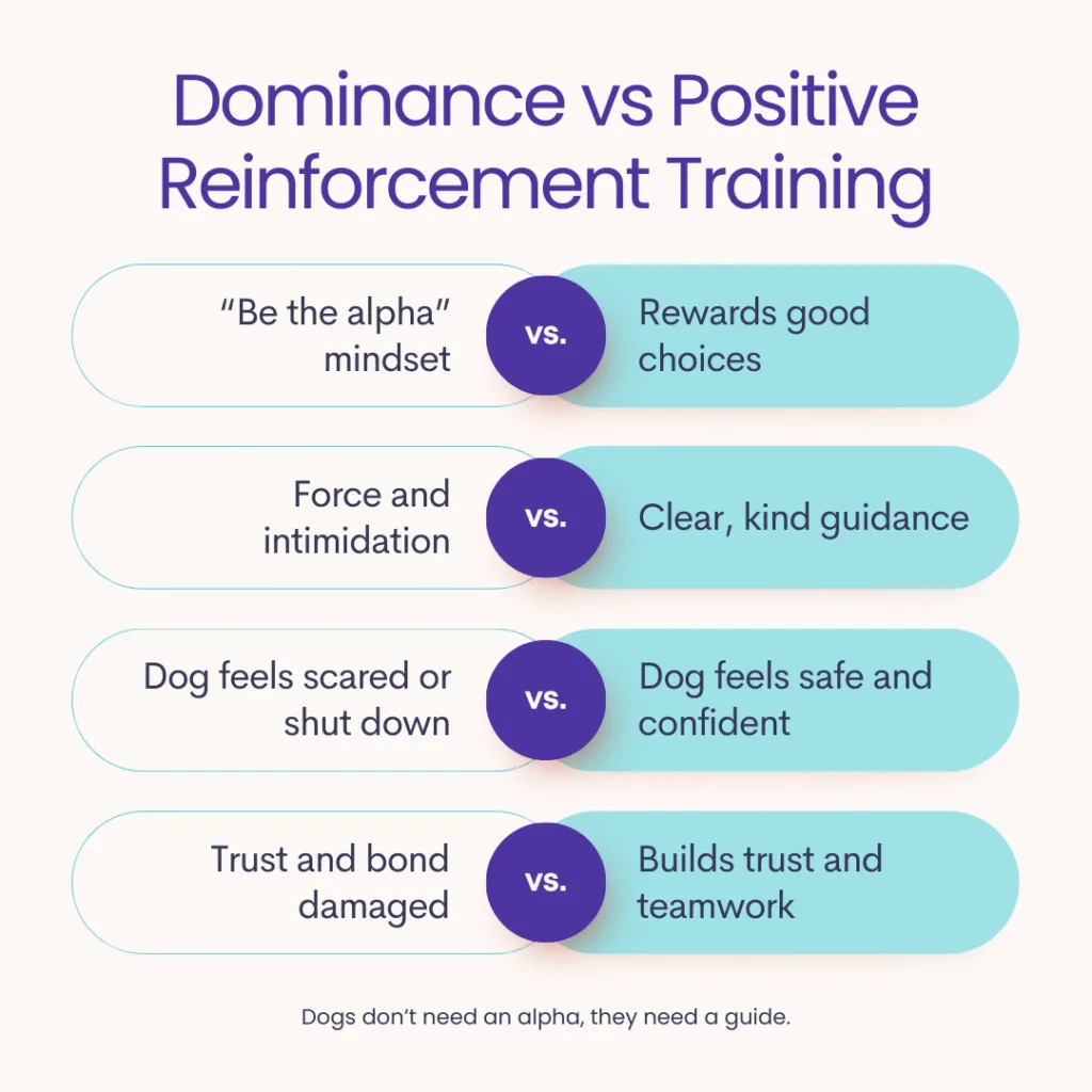 Infographic comparing dominance in dog training with positive reinforcement methods, showing why rewards and trust work better than force and intimidation.