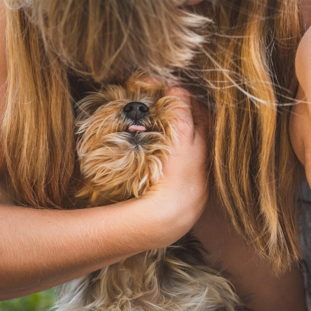 g7d0d625d25ee681c8bf2439ad58d5bcd62e2164c2adf8a6db92386a558f156aee9017c5fcf304690a9ffb0e8ef200177993f6db2a2f7ea58b6f3a7a6a04a4986_1280-7379982 canine body language demonstrating tongue flick near a person's hand