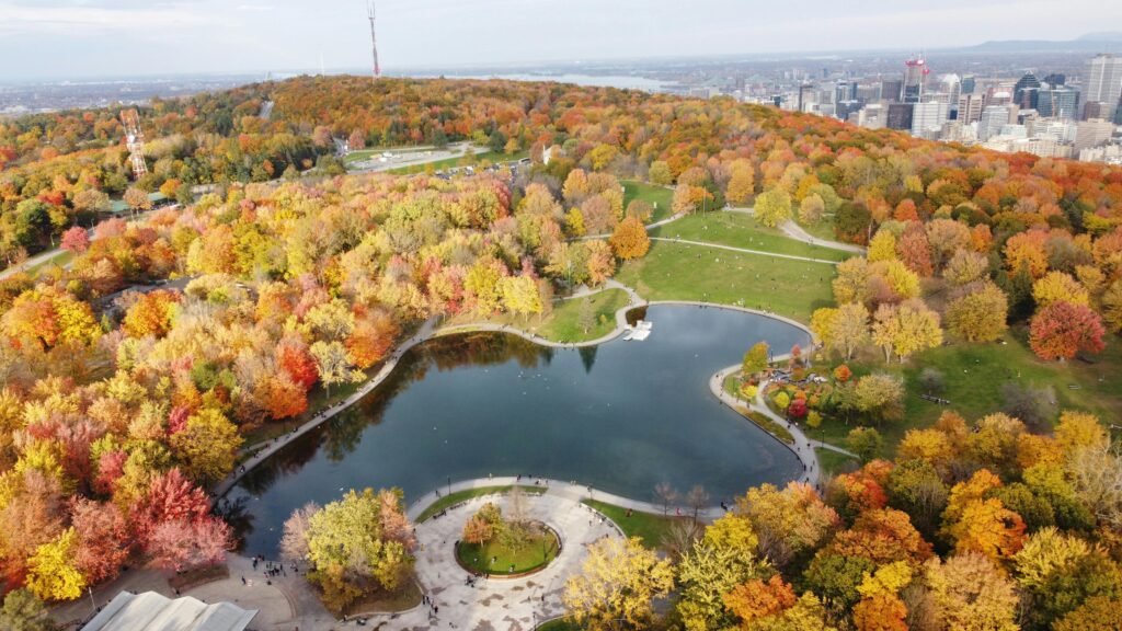 Breathtaking aerial view of fall foliage and pond in Montreal's Mount Royal Park.