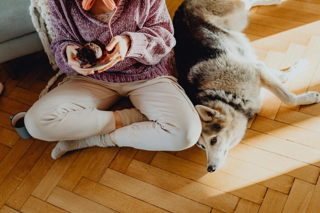 pexels-photo-6633204-6633204 Person relaxing indoors with a husky dog, demonstrating a trusting relationship
