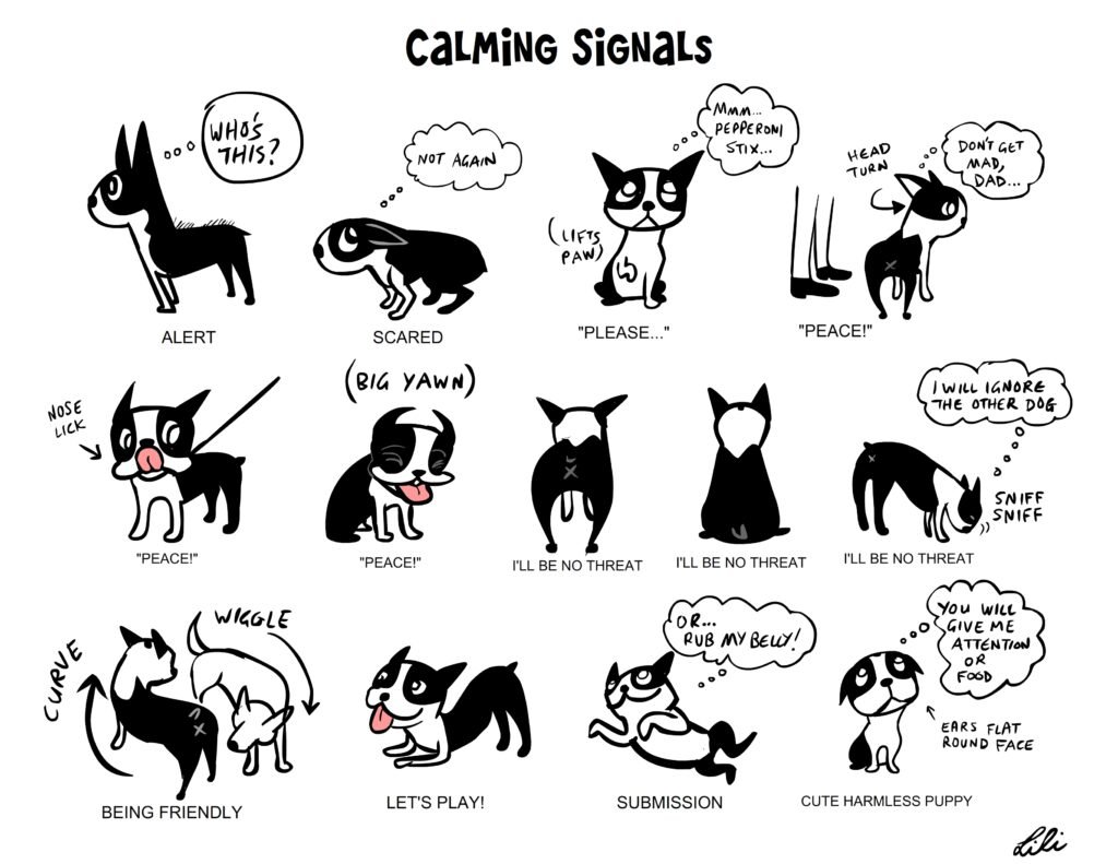 CalmingSignals_LiliChin Subtle dog body language cues often discussed during a behaviour consultation