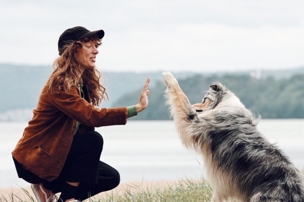 Woman teaching her dog to high-five