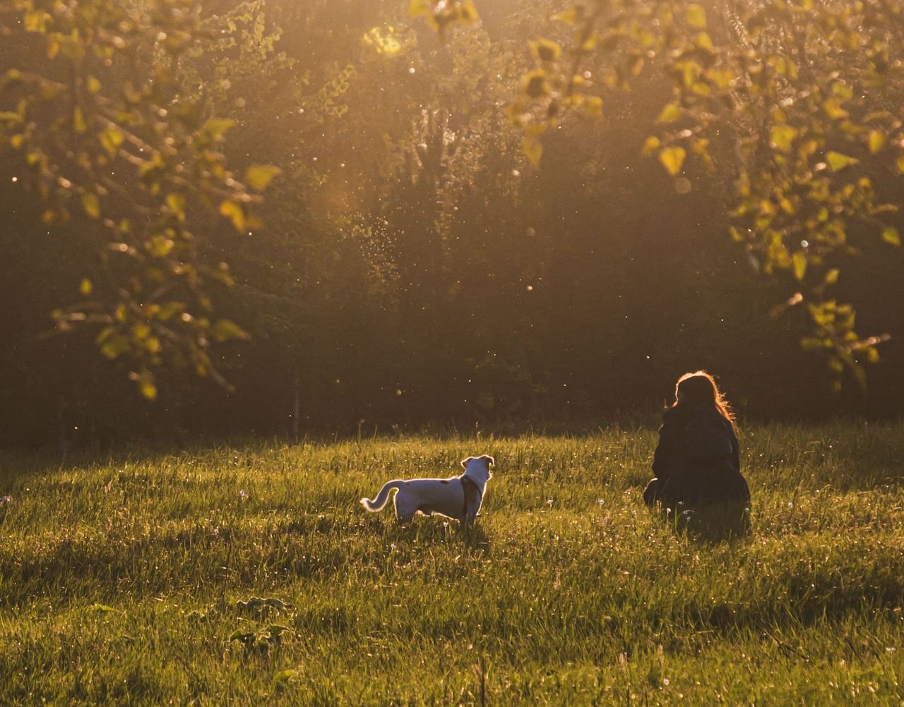 Training with heart and science: What we believe